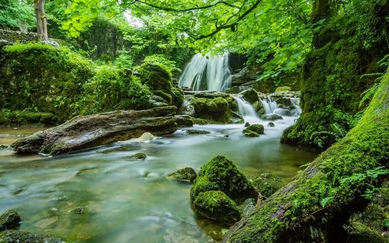 高性能先进稳定性